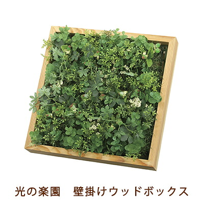 【ポイント3倍 4/4 20時から】 ●光の楽園 (2226A100-17) 壁掛け ウッド ボックス 送料無料 99449