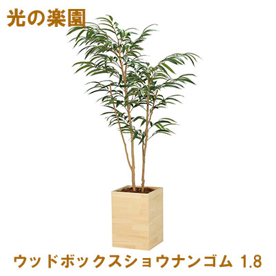 【10%OFF  百貨店SALE継続期間押さえる】 【人間様買いもとめる能力のある】●光のエデンの園 (2300A580-15) ウッドボックスショウナンゴム 1.8 貨物輸送無料 95061