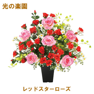 【ポイント3倍 4/4 20時から】 【個人様購入可能】●光の楽園 (2372A150-88) レッドスターローズ 送料無料 95138