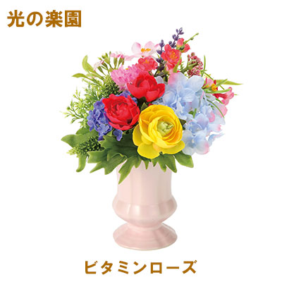 【ポイント3倍 4/4 20時から】 【個人様購入可能】●光の楽園 (2385A35-96) ビタミンローズ 送料無料 95151