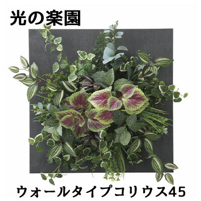 【ポイント3倍 7/19 20時から】【個人様購入可能】● 光の楽園 (2557A200) ウォール タイプ コリウス 45 造花 人工 観葉植物 フェイクグリーン光触媒 送料無料 94305|あきんど専門店