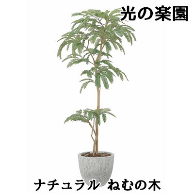 【尖んがり3倍 6/4 20時から】【人間様買いもとめる能力のある】● 光のエデンの園 (2517A570) 自然的 ねむの木 造花 人工 観葉草木 フェイクグリーン光触媒 貨物輸送無料 94307