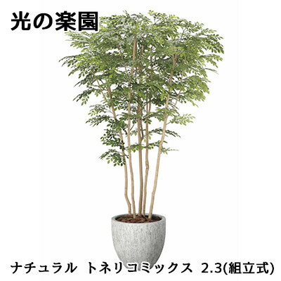 【10%OFF  百貨店SALE継続期間押さえる】 【人間様買いもとめる能力のある】● 光のエデンの園 (2607A1850) 自然的 秦皮 雑ぜ合わせる 2.3(精神的な統合式) 造花 人工 観葉草木 フェイクグリーン光触媒 貨物輸送無料 94310