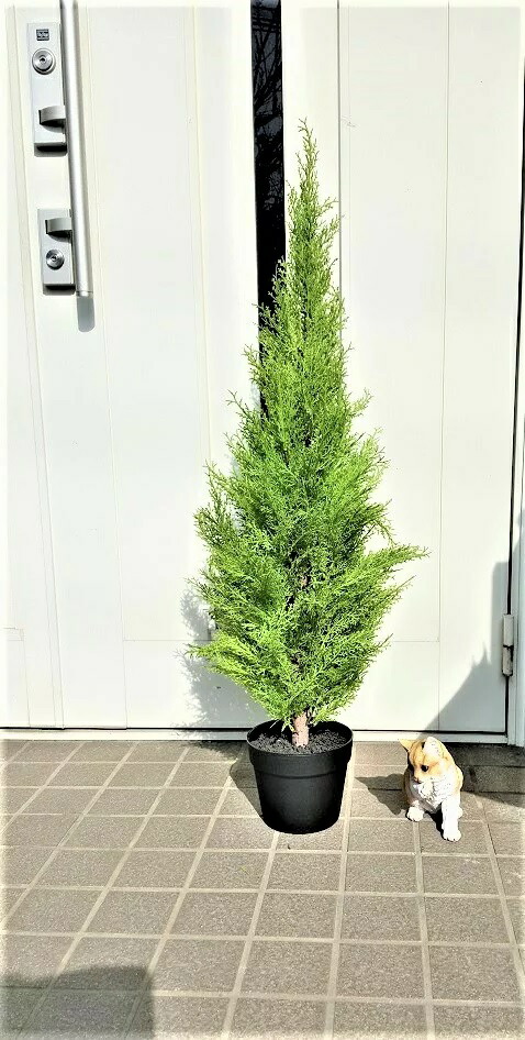 【ポイント3倍 7/19 20時から】【個人様購入可能】●造花 人工観葉植物 ゴールドクレスト 90cm [ wgs-1111 ] 送料無料 98134｜あきんど専門店