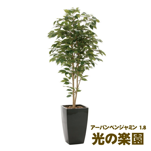 【尖んがり3倍 6/4 20時から】【人間様買いもとめる能力のある】●光のエデンの園 (946K650-24) アーバンベンジャミン1.8 貨物輸送無料 93686