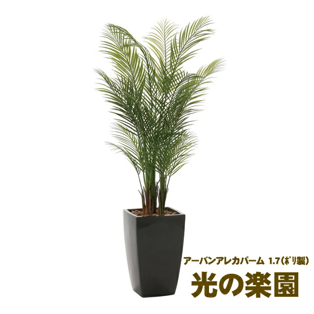 【10%OFF  百貨店SALE継続期間制限事項】 【人間様買いもとめる能力のある】●光のエデンの園 (945K700-24) アーバンアレカパーム 1.7 貨物輸送無料 93687
