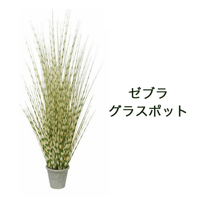 【ポイント3倍 4/4 20時から】 【個人様購入可能】● ゼブラグラスポット ［ gla-1396 ］ 送料無料 93824