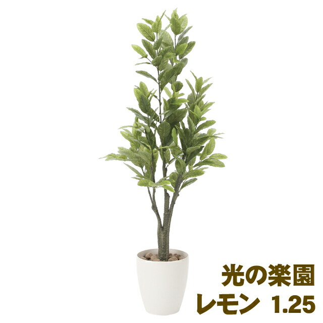 【ポイント3倍 7/19 20時から】【個人様購入可能】●光の楽園 (817A200-48) レモン 1.25 送料無料 93886|あきんど専門店