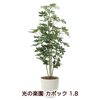 【10%OFF  百貨店SALE継続期間押さえる】 【人間様買いもとめる能力のある】●光のエデンの園 (158K365-48) パンヤ 1.8 貨物輸送無料 94133