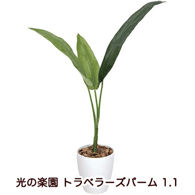 【ポイント3倍 7/19 20時から】【個人様購入可能】●光の楽園 (205K130-54) トラベラーズパーム 1.1 送料無料 94141｜あきんど専門店