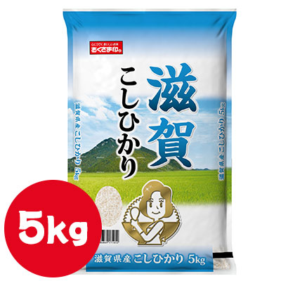 【ポイント3倍 4/4 20時から】 【個人様購入可能】● 米匠庵 おくさま印 滋賀県産 こしひかり 5kg 白米 お米 送料無料 04313