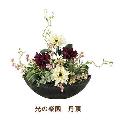 【個人様購入可能】●光の楽園 (670K85-90) 丹頂 送料無料 92683|あきんど専門店