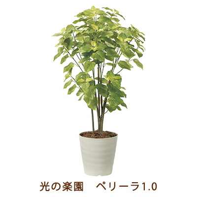 【ポイント3倍 7/19 20時から】【個人様購入可能】●光の楽園 (2225A150-57) ペリーラ 1.0 送料無料 99483|あきんど専門店