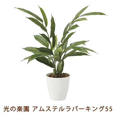 【個人様購入可能】●光の楽園 (2256A80-60) アムステル ラバーキング 55 送料無料 99491｜あきんど専門店