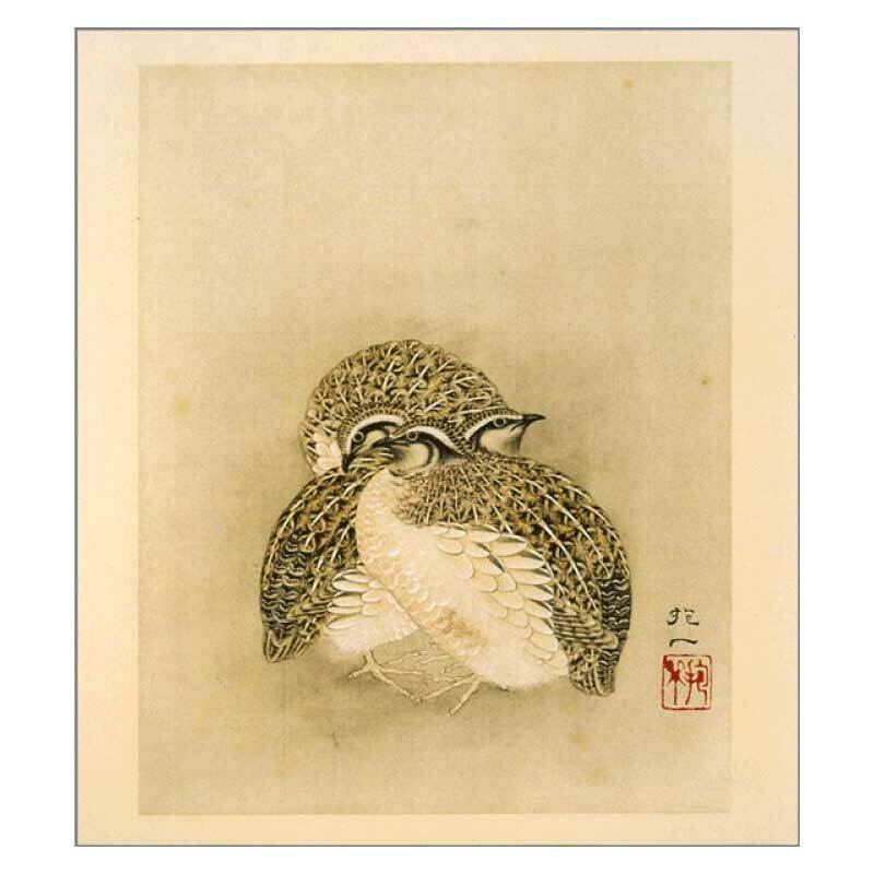 楽天市場】色紙 〈四季花鳥図巻（冬）〉 酒井抱一筆 : 京都便利堂 楽天