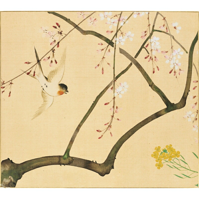 楽天市場】色紙 〈四季花鳥図巻（冬）〉 酒井抱一筆 : 京都便利堂 楽天