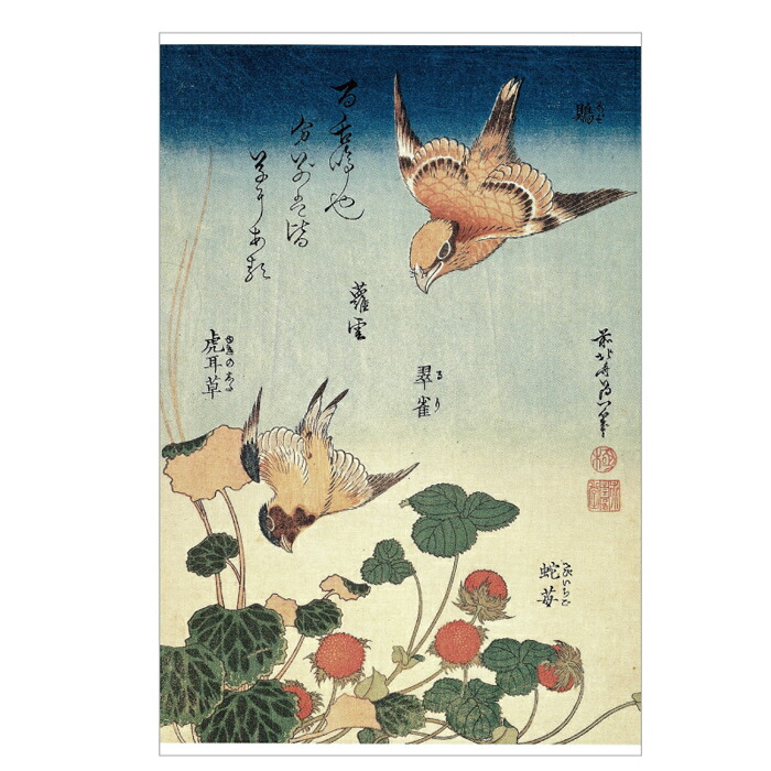 楽天市場】浮世絵 グッズ ポストカード 絵はがき 〈桔梗にとんぼ