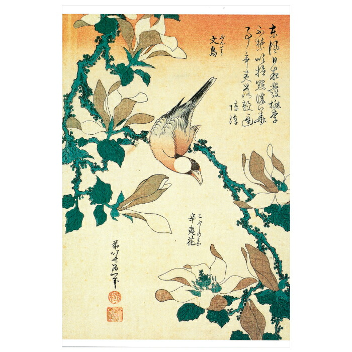 楽天市場】浮世絵 グッズ ポストカード 絵はがき 〈桔梗にとんぼ