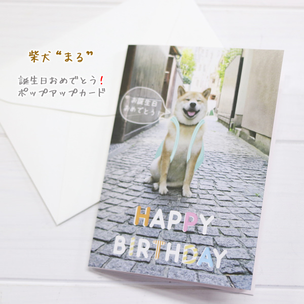 楽天市場 柴犬まるの誕生日祝いポップカードインスタグラムで世界的に人気の柴犬 まる もらって嬉しいポップアップカード 京都文具屋