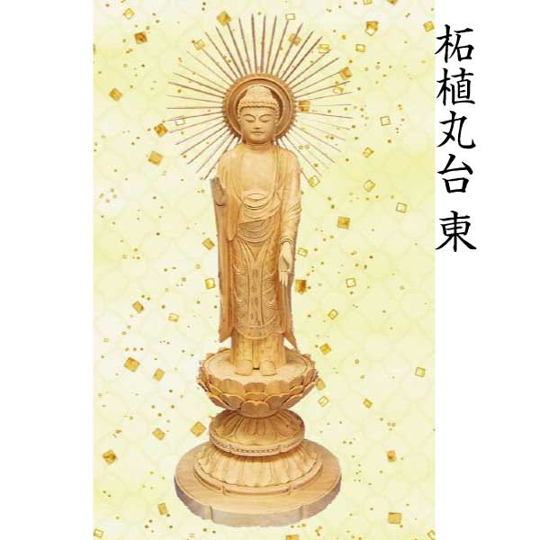 【仏像 阿弥陀如来像】 浄土真宗東本願寺派用 柘植 丸台 ５寸 芸術品 芸術品