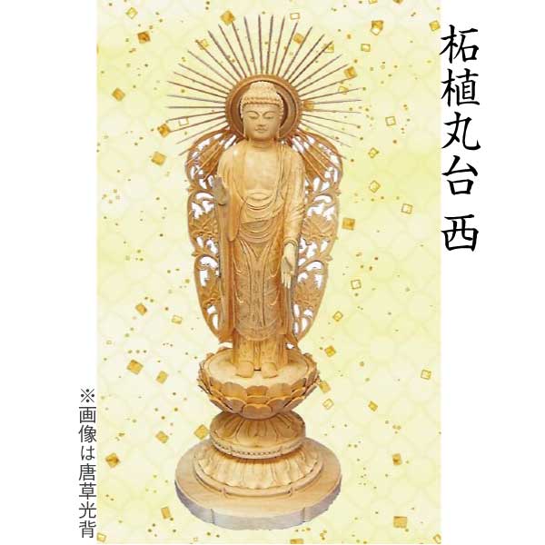 【仏像 阿弥陀如来像】 浄土真宗西本願寺派用 柘植 丸台 唐草光輪 ５寸 芸術品 芸術品