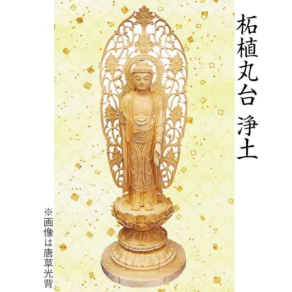 【仏像 阿弥陀如来像】 浄土宗用 柘植 丸台 舟形唐草光輪 5.0寸 芸術品 芸術品