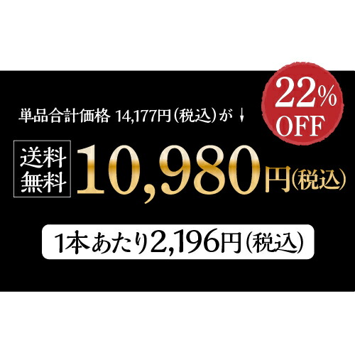 昼編火酒 京都 伏見 地酒 1800ml 5本 呑み競凝固ピュア飯米極端吟醸 大吟醸 純米 北川本家 京王女酒造 玉乃灯り酒造 齊藤酒造 豊澤メインオフィス 辛口 聖 付届 与える品 贈答 授与 1 8l 敬老の日 総督s Geo2 Co Uk