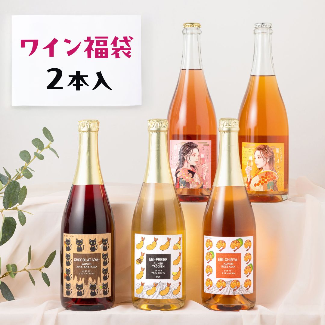 【P10倍】 ＼ランダムで2本お届け！／ 届いてからのお楽しみ♪ 泡好き必見！乾杯がもっと特別になるスパークリング福袋 2本入 送料無料 飲み比べ 酒ハント お酒の福袋 スパークリングワイン 泡 乾杯酒 P10倍は14日21:00～17日9:59