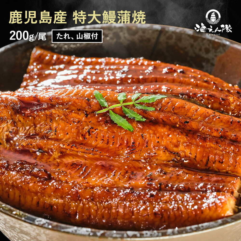 鹿児島県産 特大鰻蒲焼 200g/尾 たれ 山椒付き うなぎ ウナギ 鰻 蒲焼 蒲焼き うなぎ蒲焼き タレ付き 国産 ふっくら 上質 簡単調理 誕生日 内祝 ギフト お祝い お歳暮 出産内祝 結婚内祝 50代 60代 70代 80代 食べ物 グルメ 送料無料