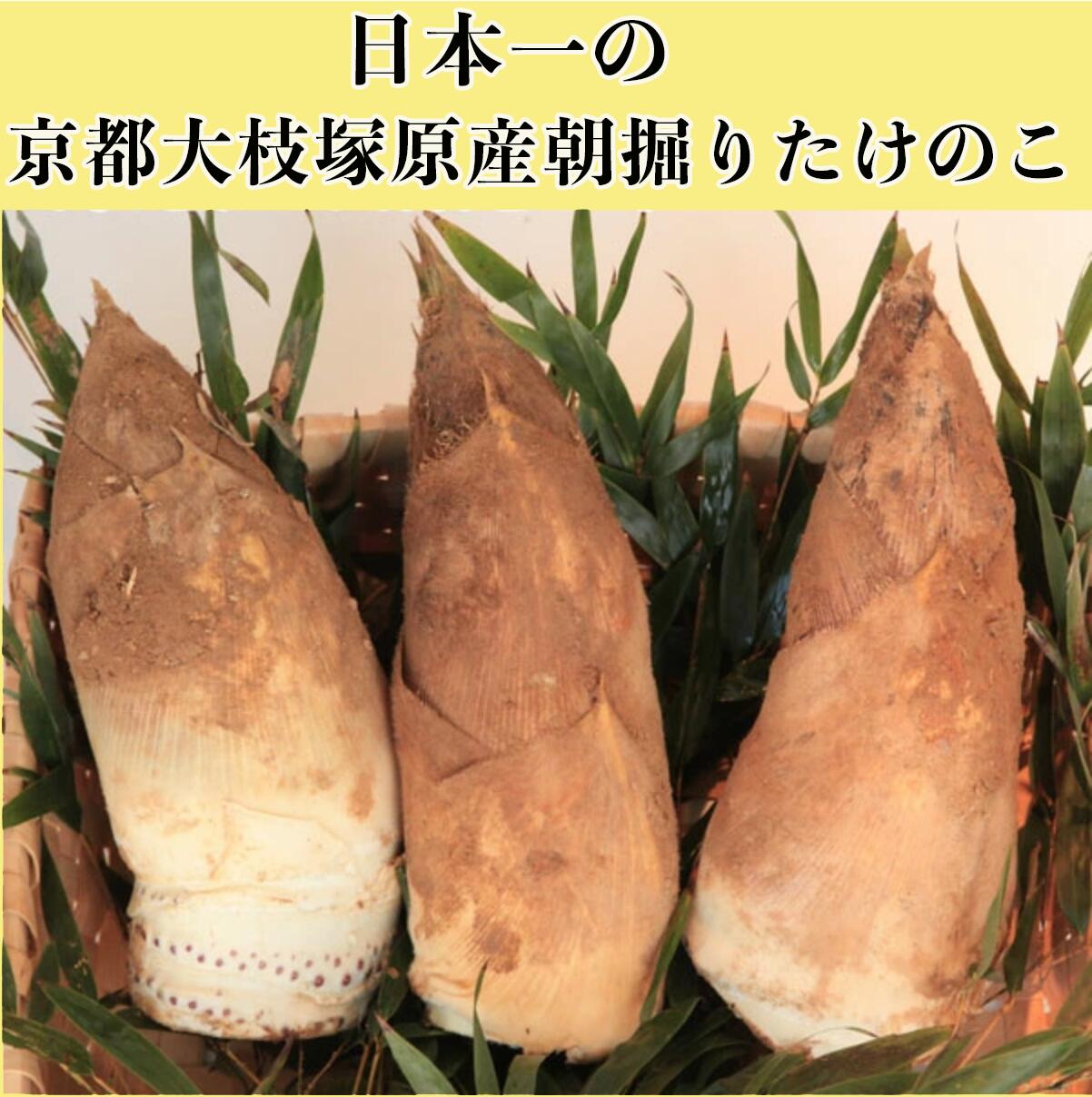 楽天市場】2025 今が旬 朝堀り当日発送 たけのこ筍4kg（優品