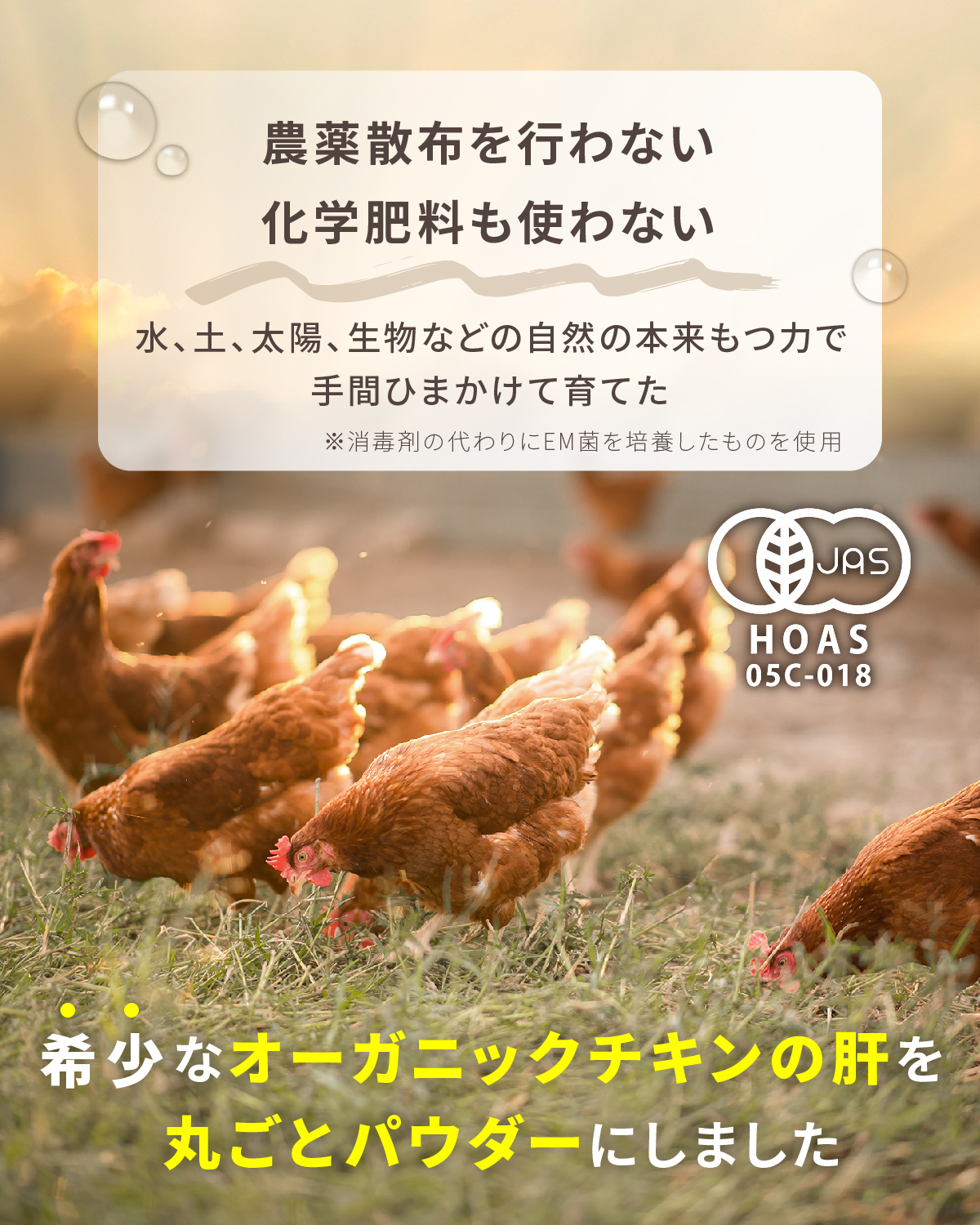 【新品】はぐくみ太郎 鶏レバーパウダー　協和食研 10袋（期限2026年3月） 楽天市場】協和食研 はぐくみ太郎 特別飼育鶏 鶏レバーパウダー