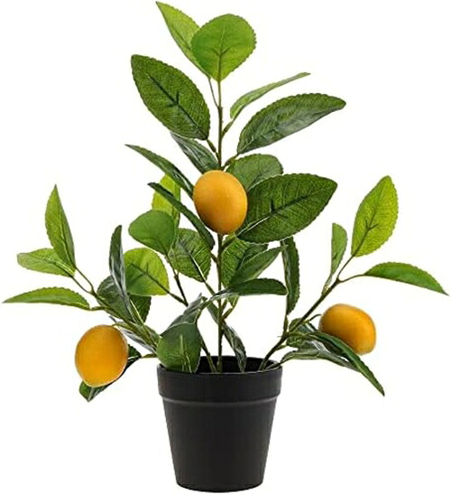 13インチ 人工レモンツリー 鉢植え ミニ植物 装飾 フェイクリアルフルーツ イエローレモン 自宅 リビングルーム オフィス デスク 寝室 屋内用｜IKYUWA店