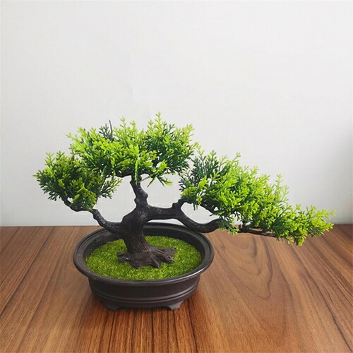 観葉植物 卓上 鉢植え 人工観葉植物 フェイクグリーン 本物そっくり 盆栽 インテリア 室内 オフィス 店舗 装飾 置物 枯れない 世話いらず おしゃれ 開店祝い 新築プレゼント 2個セット