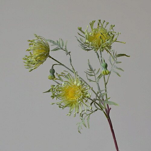 造花 飾り インテリア おしゃれ 菊の花 1本 枯れない花 寝室 玄関 部屋 オフィス 母の日 結婚式 誕生日 お祝い 開店祝い お見舞い ウェディング パーティー プレゼント 写真小道具 アートフラ