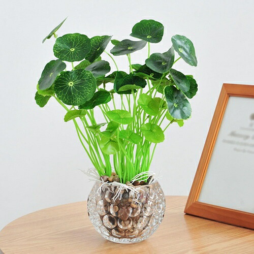 観葉植物 卓上 ガラス鉢付き 本物そっくり 造花 枯れない 世話不要 人工樹木 フェイクグリーン インテリア オフィス 店舗 飾り 開業祝い リビング/玄関/窓際/洗面台/寝室用 鉢植え 贈り物 プレ
