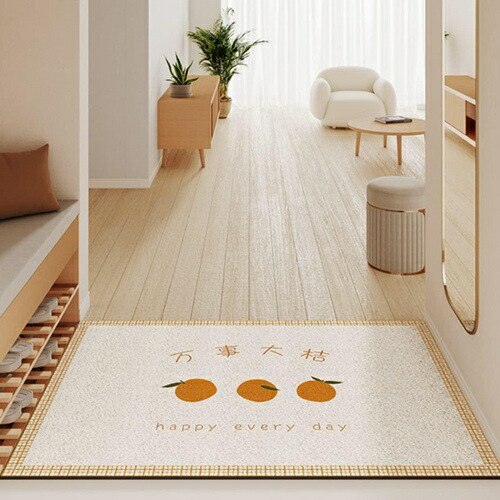 部屋の入り口引っ敷き 部屋の入り口引っ敷き 泥落とし引っ敷き 室内 エントランスマット 耐摩耗性引っ敷き 洗える 屋内 40*60糎 室外 御役目用 身寄り用 上滑り打ち切り 外用部屋の入り口引っ敷き 御役目用に至適 立ち会い場引っ敷き 色褪せにくい