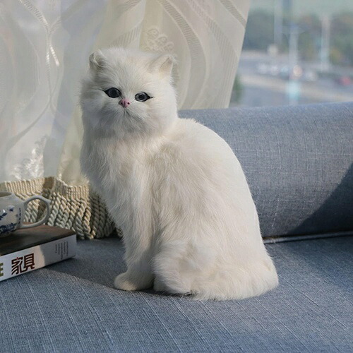 三毛猫 本当のねこ 猫ぬいぐるみ イラン 手作り 毛の荒物模範例 座る 本物そっくり 猫お父ちゃん 飾りつけ 御部屋飾りつけ 室内装飾 映画化御先棒 癒し系 敬老の日 お生まれ落ちる日 差し上げ物 店飾りつけ 赤ちゃんの日 卒祝賀会 玄