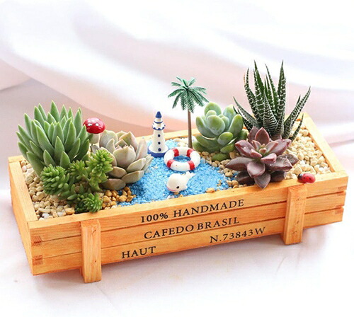 植木鉢 かわいい多肉植物の鉢 ミニ 多肉植物鉢 プランター 簡単DIY 癒しグッズ 置物 クリエイティブ おしゃれ 小さな多肉植物 ミニ植物適用 卓上 飾り オフィス用 彼女 彼氏 ギフト 誕生日プレ