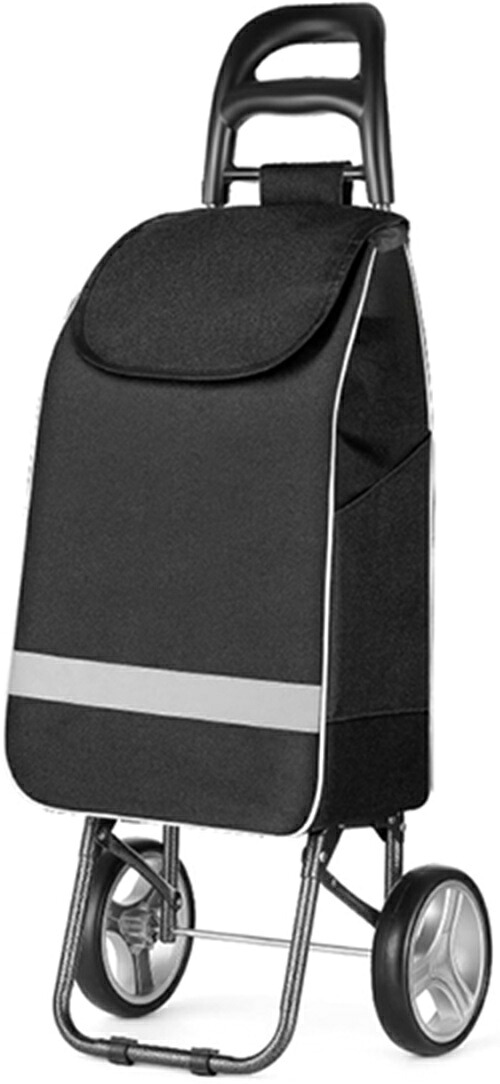 ショッピングキャリー エコ御徒面子 F 取りはずし能力のある 保温 助けになる パウダーコンパクト 老いらく者 2輪 買い出し手押し車 折り畳み式 キャスター 納める袋 時刻表品 買い出し御徒面子 買い出し御徒面子 折りたたみ 五分五分