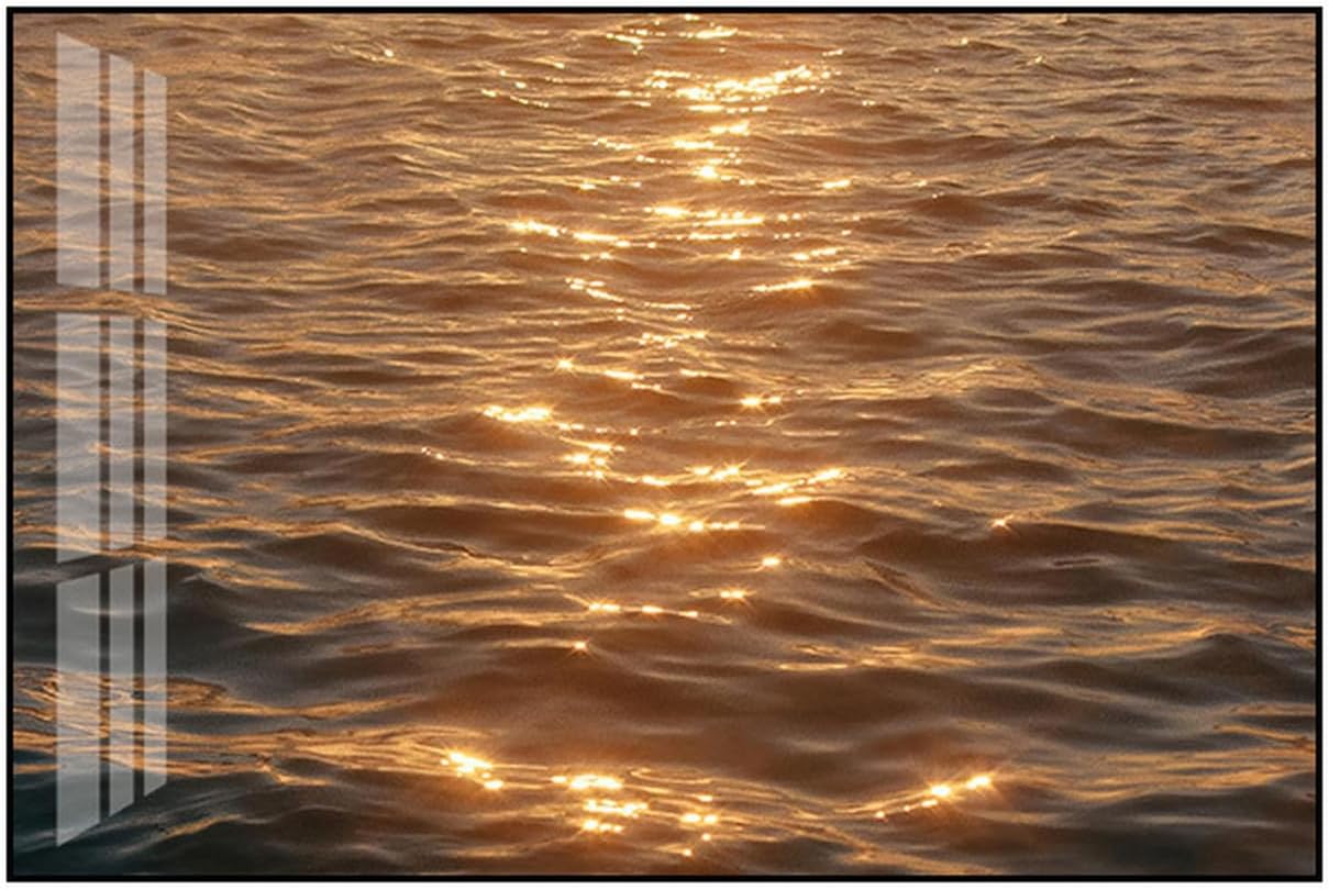アートパネル インテリア デザイン19 パネル 絵 画 海 鳥 夕方 風景 自然 壁飾り 雰囲気 背景 部屋 心癒し 気分落ち着き 雑貨 絵画 壁掛けアート 60*80cm ポスター 美しい海の景色