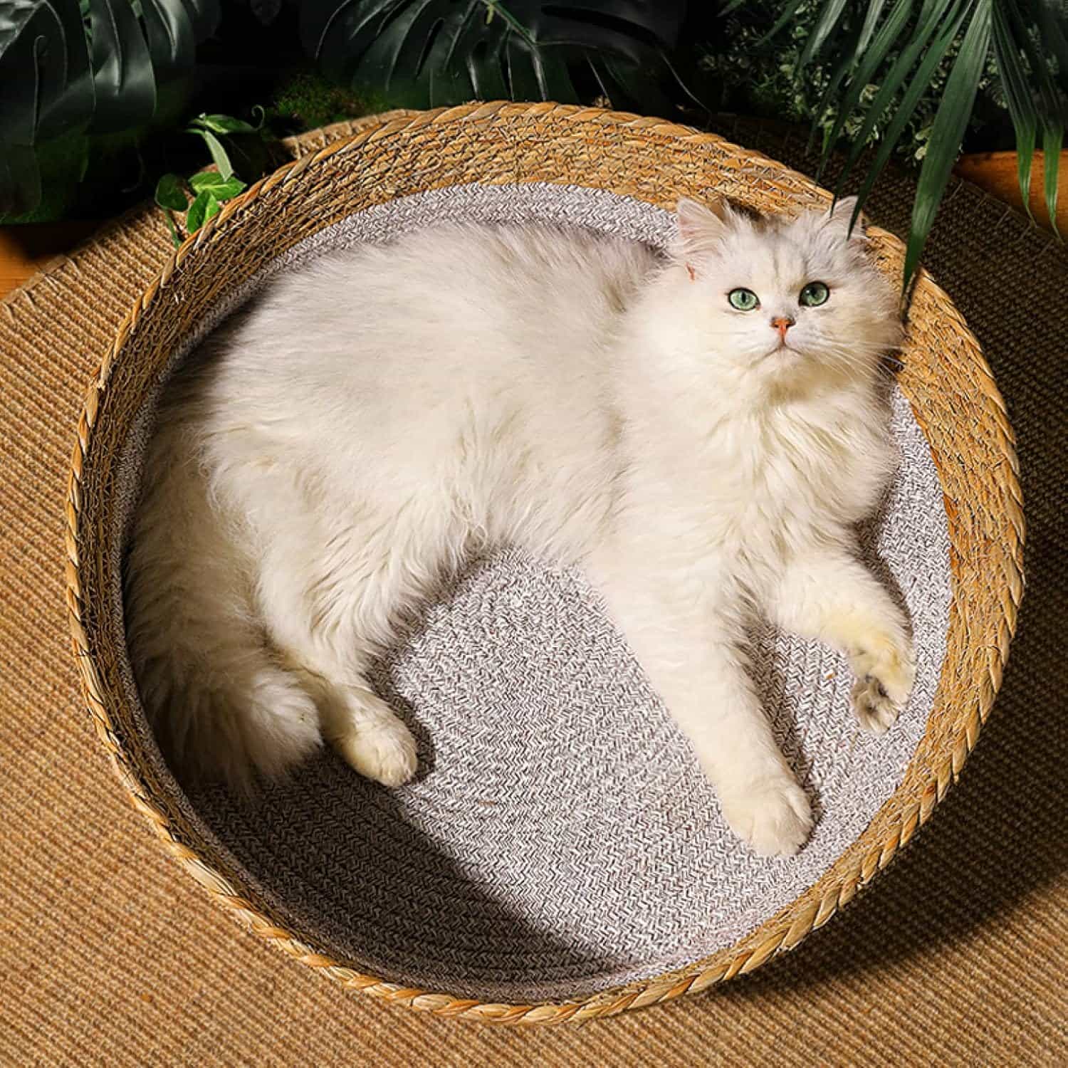 ペットベッド　猫ベッド　夏用　手編み　藤編み　ラタン　ペットマット　クッション付き　涼しい　通気性　夏用　キャットハウス　円形　爽やか　サラサラ　インテリア　天然素材　編み上げ　水洗い　猫寝床　爪とぎ