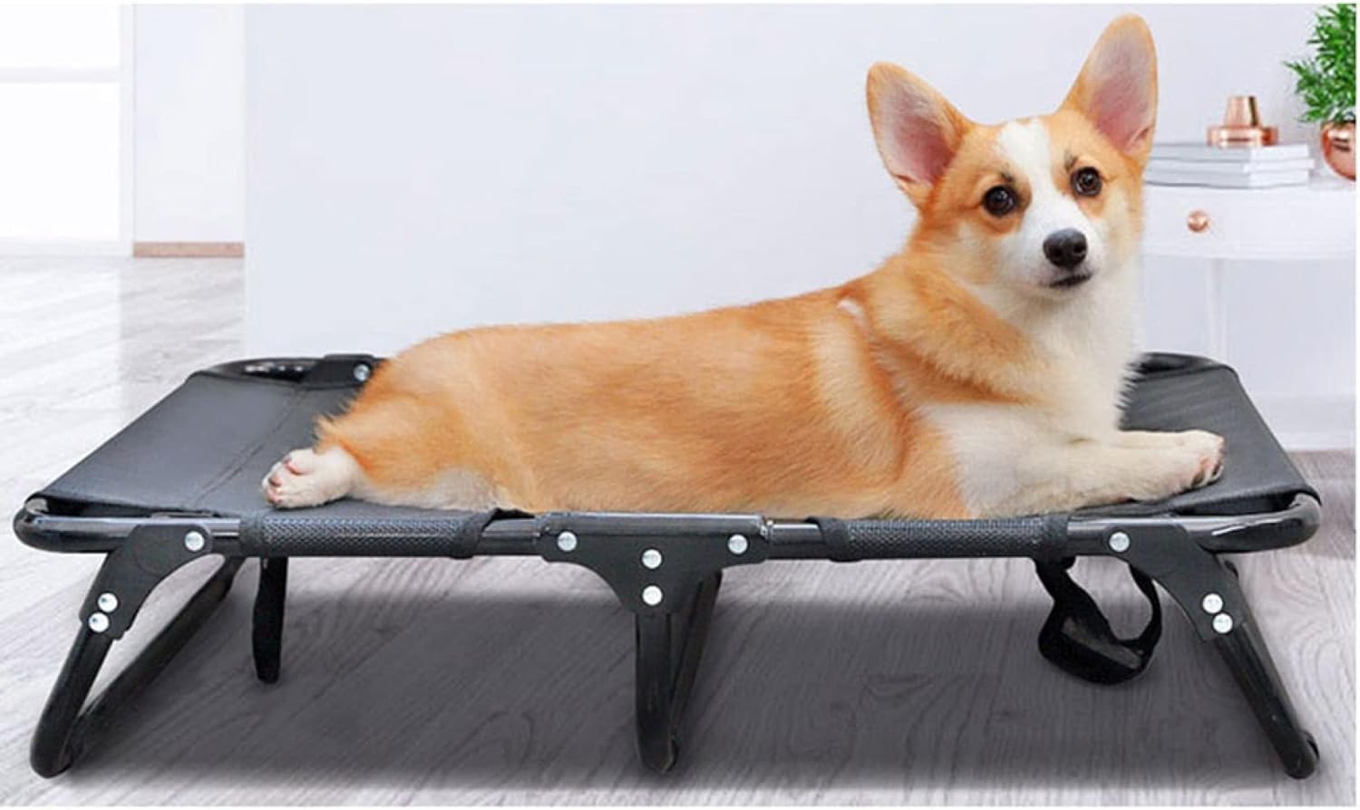 ペットベッド 洗える 夏用 犬用ベッド 脚つきコット型 おりたたみ 犬用 ドッグコット ポップアップ キャンプ 脚付き アウトドア ペットベッド ペットソファー ペットクッション 小型 犬 ブラック