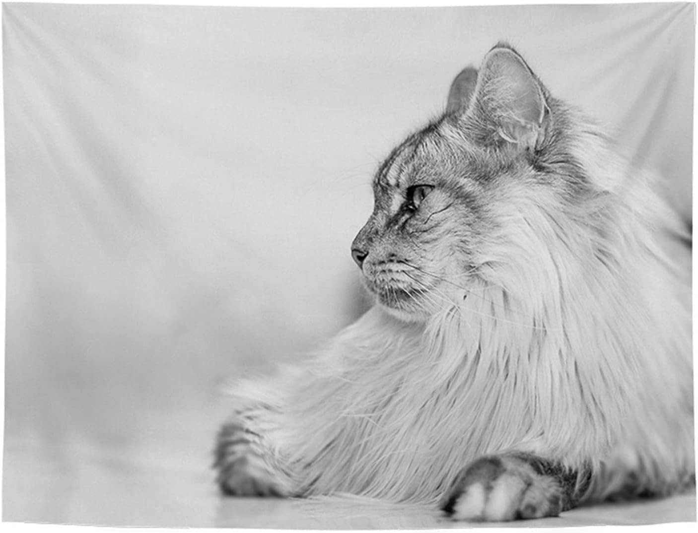 動物 タペストリー 壁掛け ライオン 虎 猫 馬 北欧 壁飾り 間仕切り ファブリック装飾用品 背景 撮影用 多機能 布ポスター インテリア ベッドルーム 寮 お店 雰囲気転換 新築お祝い プレゼント｜IKYUWA店