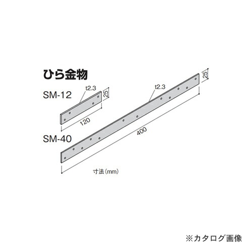 【送料別途】【直送品】カネシン ひら金物 (100枚入) SM-40