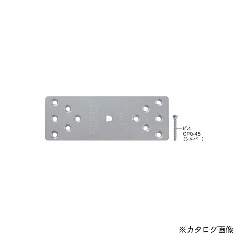 カネシン フィックステンプレート (50枚入) F-SP