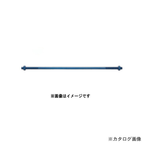 カネシン 高耐力フレックス両引きボルト (10本入) PZ-FR16-100(M16×1000)