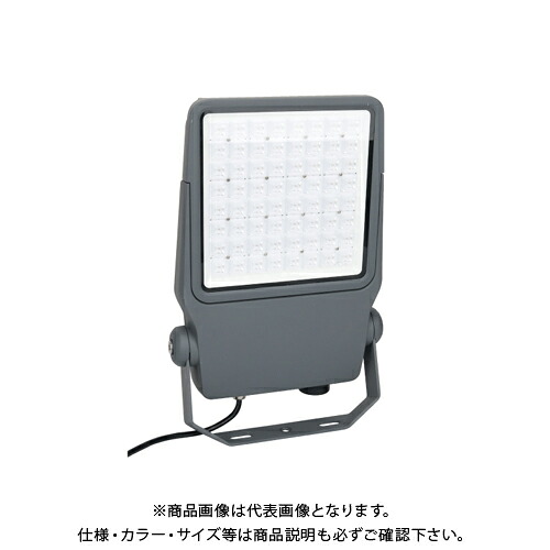 デンサン DENSAN LEDプロジェクションライト(投照器) PDS-C04-100FL