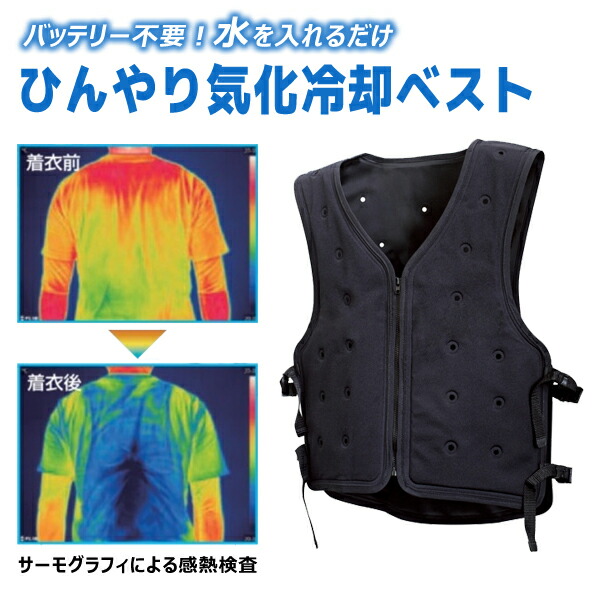 楽天市場】[11/1限定 抽選で最大100%ポイントバック(要