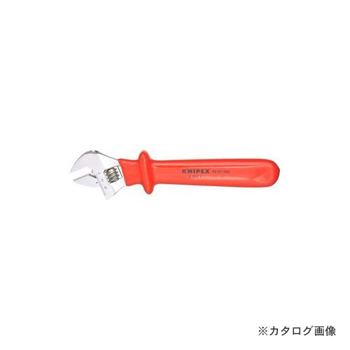 クニペックス 9807-250 縁切りエテ公鍵 250MM