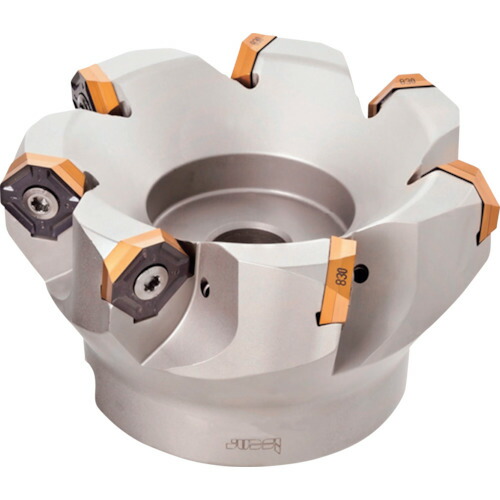 イスカル ダブIQ粉砕機 人間の顔粉砕機 IQ845 FSYD160-11-50.8-R07